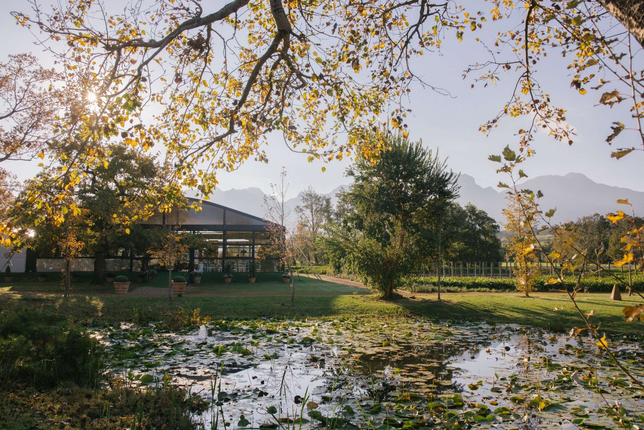 The Cape Winelands: Wine Meets Luxury